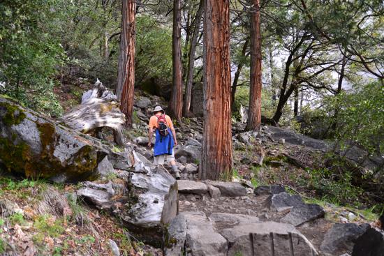 Yosemite Falls Trail